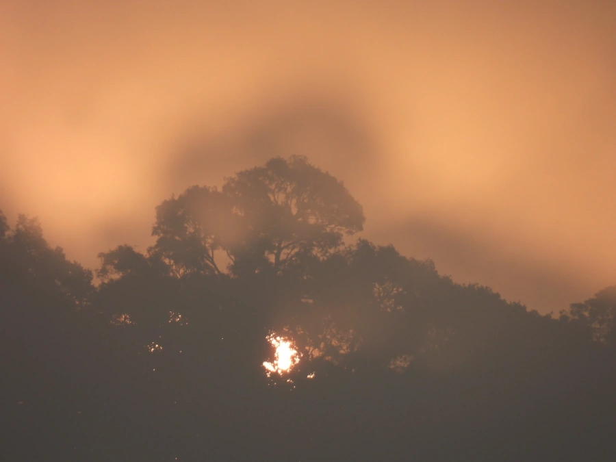 Pôr do sol em Maresias, 4 de setembro de 2024