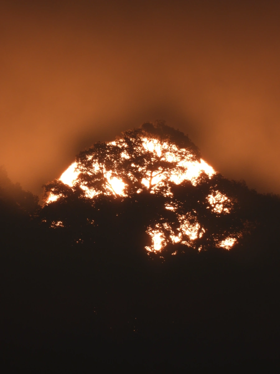 Pôr do sol em Maresias, 4 de setembro de 2024